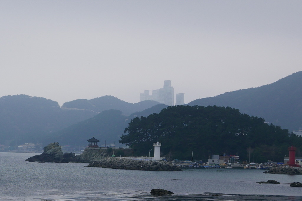 수영사랑 이미지