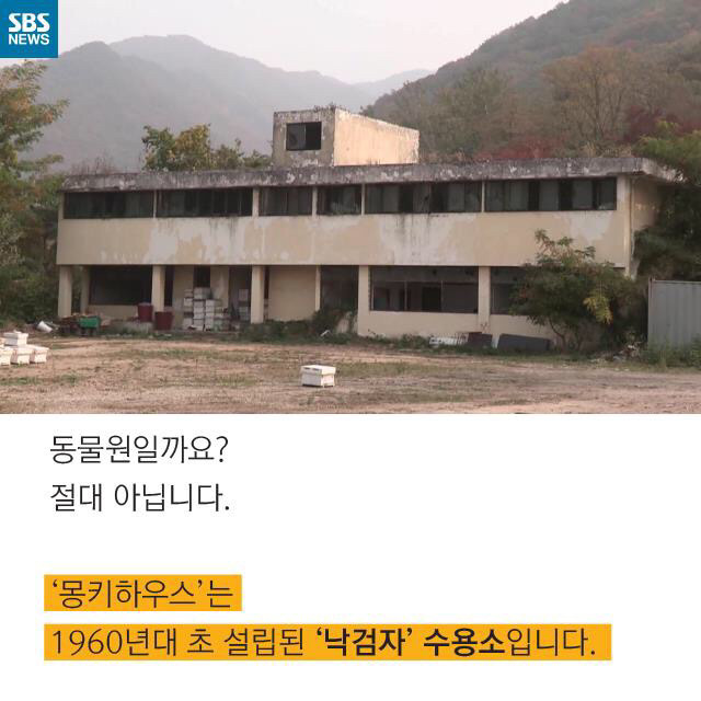 [그것이알고싶다] 우리는 원숭이가 아닙니다 | 인스티즈