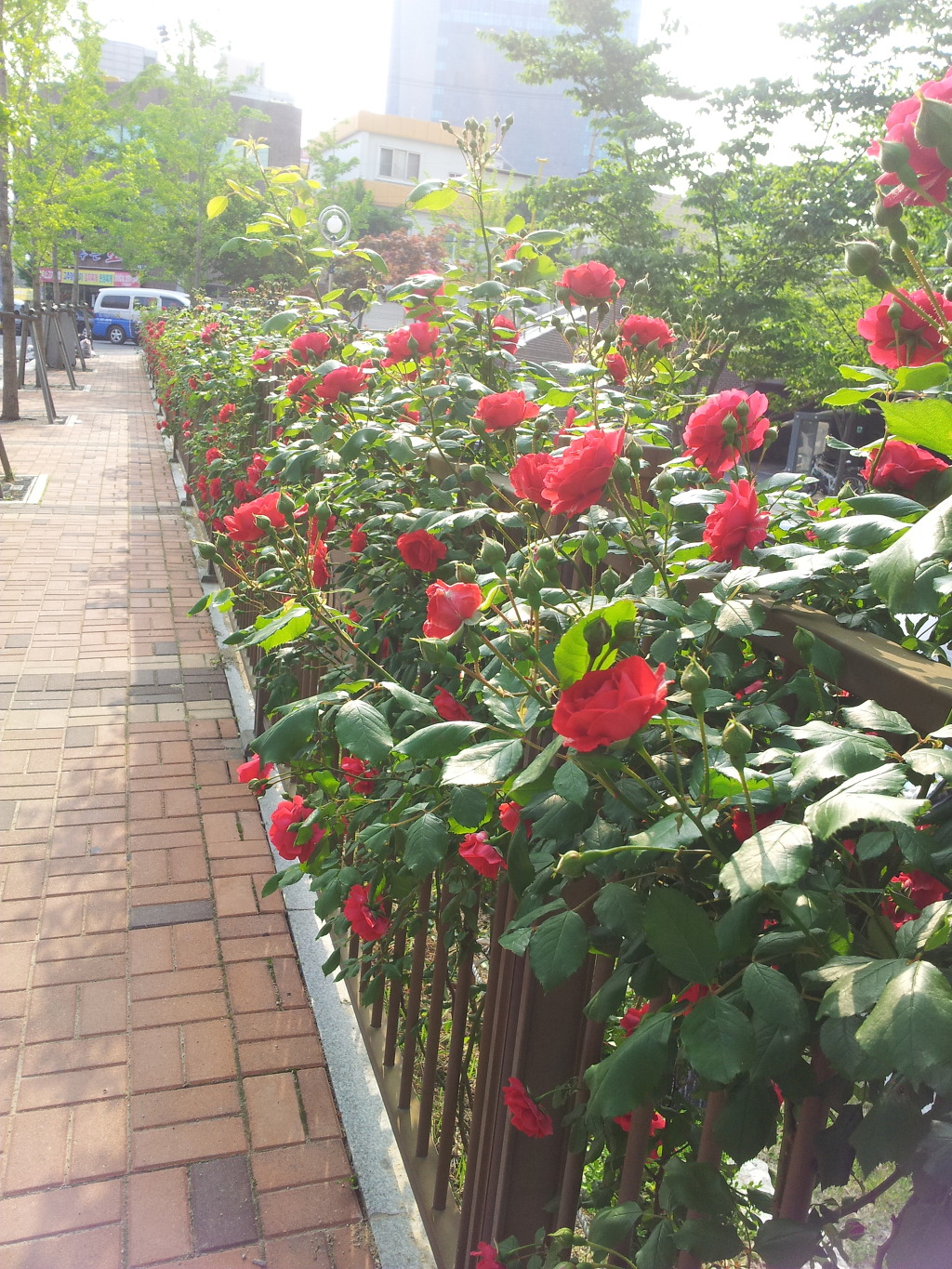 한신엘리베이터(주) 이미지