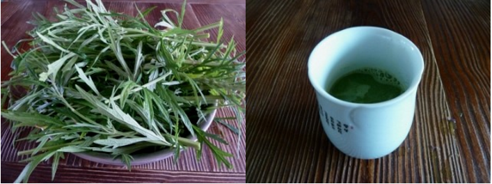 불호 100프로에 도전 | 인스티즈