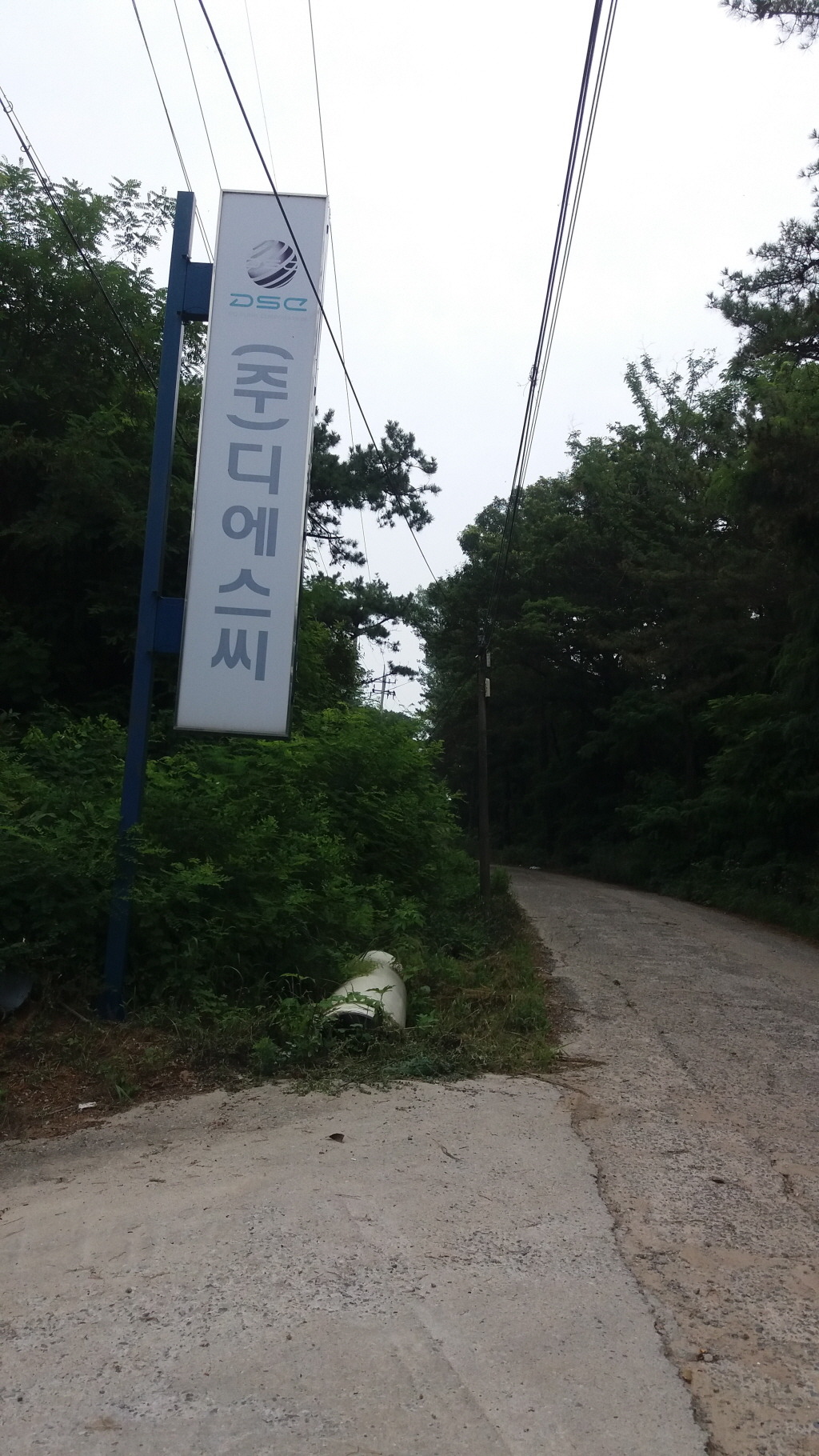 디에스씨 이미지