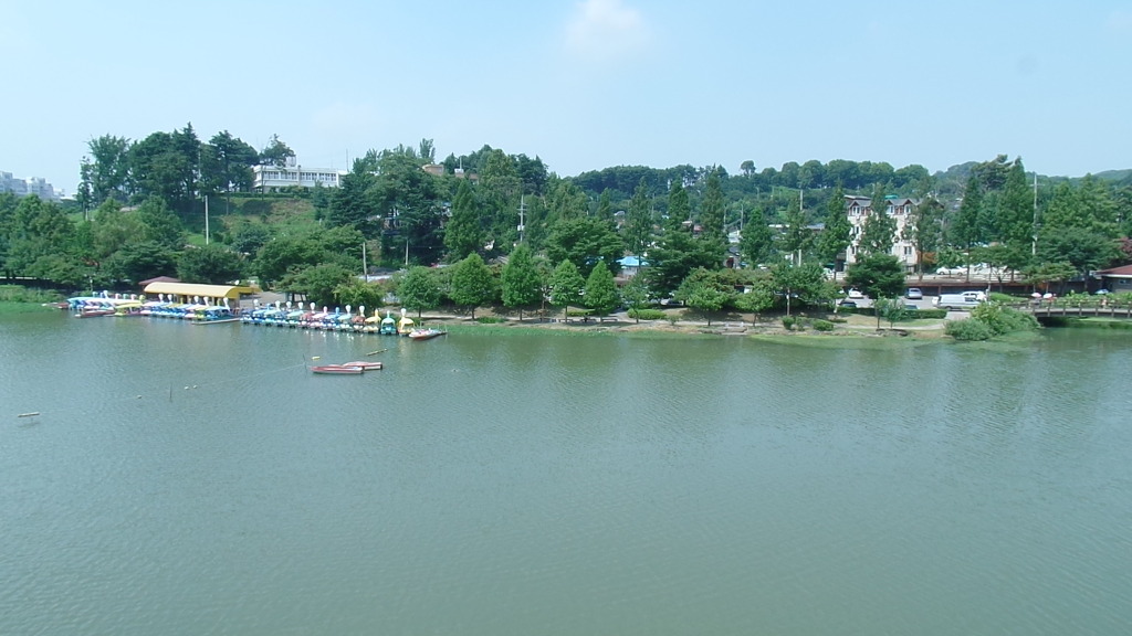 데이트 코스로 유명한 전주 덕진공원 예쁜 연꽃 풍경 | 인스티즈