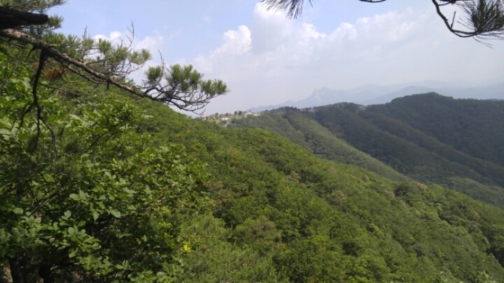 고광사 이미지