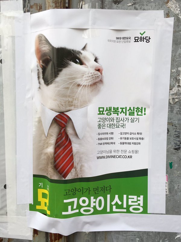 후보들 중에 스파이가 있는 것 같아 | 인스티즈