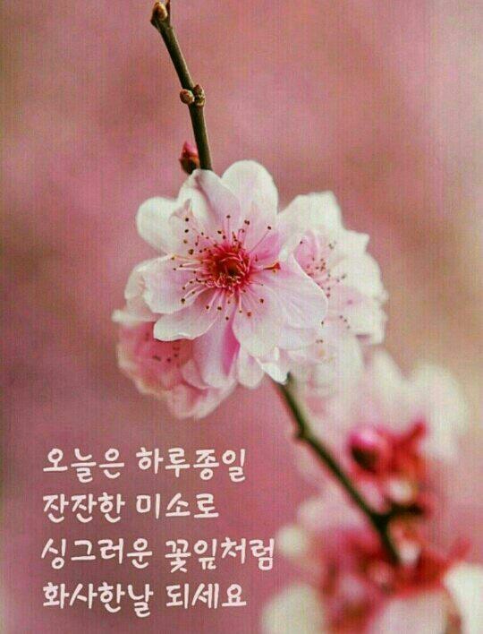 봄날 이미지