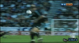 지네딘 지단 고려청자 트래핑 가능 vs 불가능.gif | 인스티즈