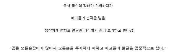실제로 일어나고말았다 | 인스티즈