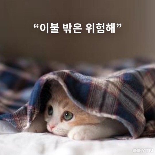 응답하라 1988 종영기념.. 덕선 ♡ 택이 gif 모음.. | 인스티즈