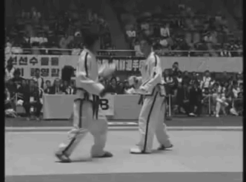 철권 화랑의 실제 모델 ITF 황수일 | 인스티즈