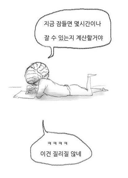 뇌의 신비 | 인스티즈