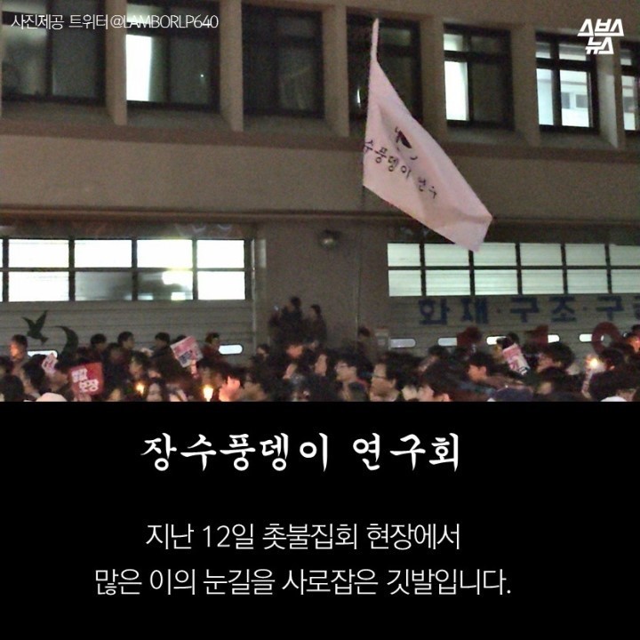  광화문 개념충 장수풍뎅이 연구회 | 인스티즈