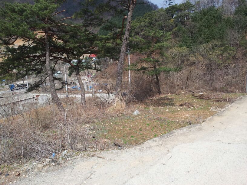 (주)지랑 이미지