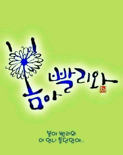 봄봄봄 이미지