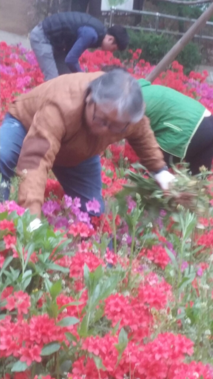 풍년골 이미지