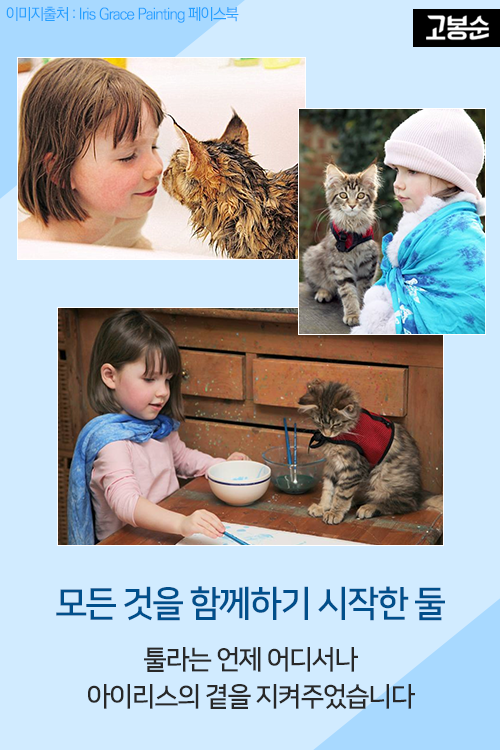 내 마음이 들리니? 자폐증 화가 소녀와 고양이의 우정 | 인스티즈