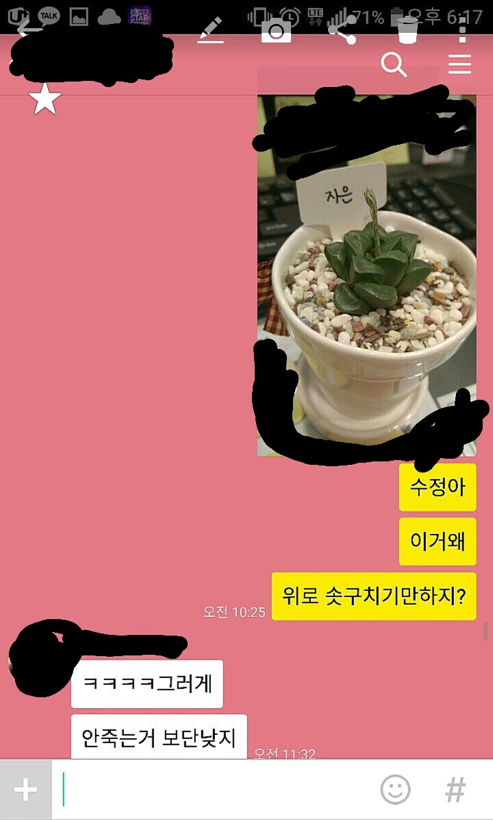 진도야..!! | 인스티즈