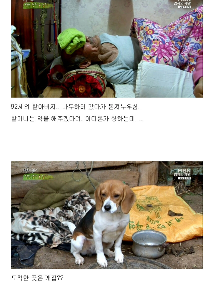 개똥이 이미지