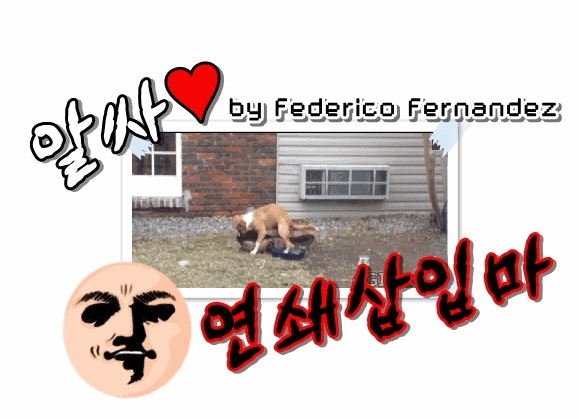 천운을 타고난 남자.gif | 인스티즈