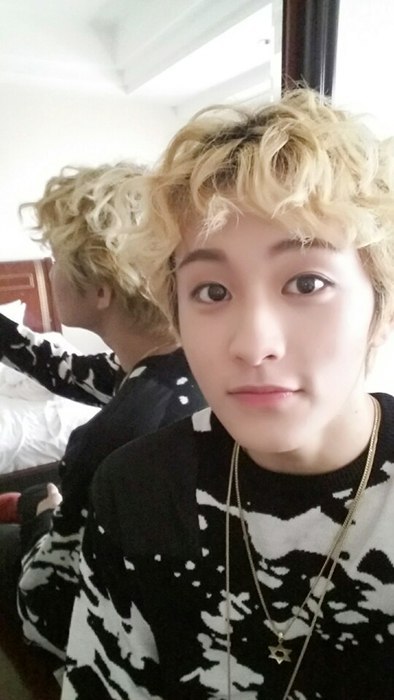 프롬마크 이미지