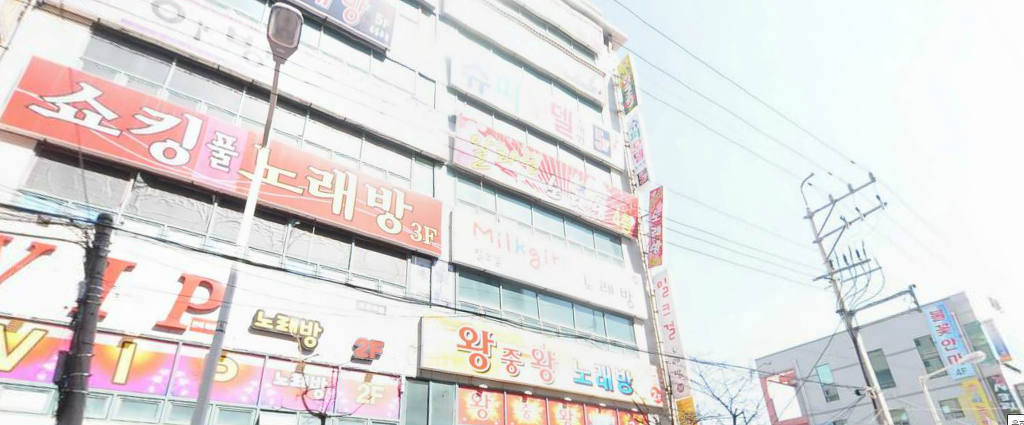 노래를 사랑하는 도시 | 인스티즈