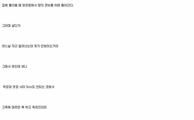 강아지가 우리 곁을 떠날 때 | 인스티즈