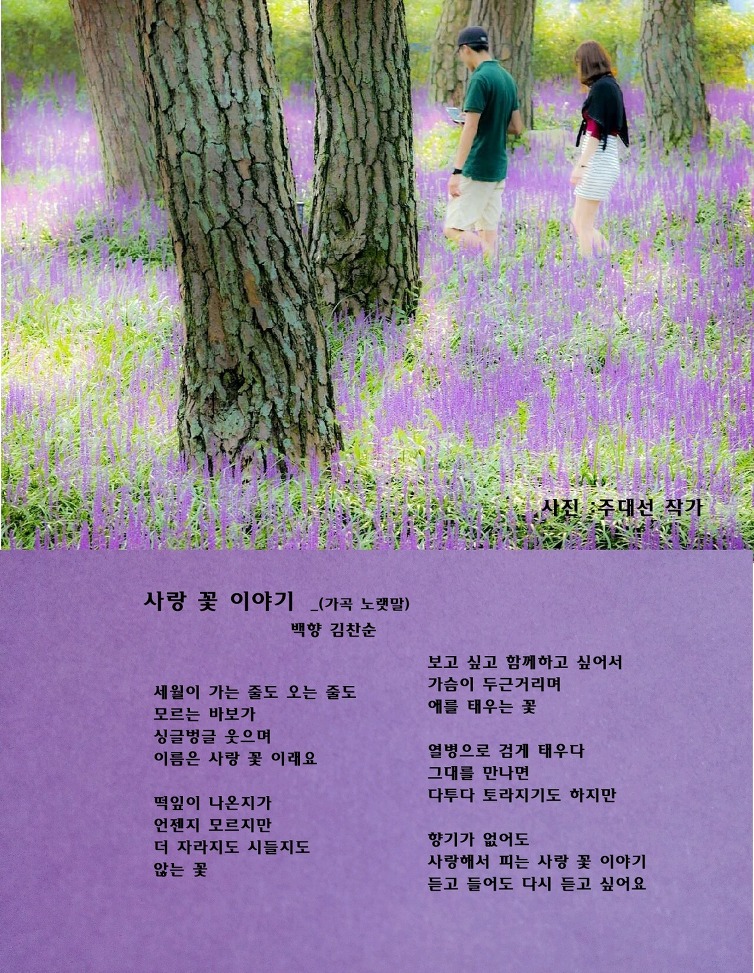 백향 이미지