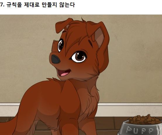 강아지가 싫어하는 8가지 행동.jpg | 인스티즈