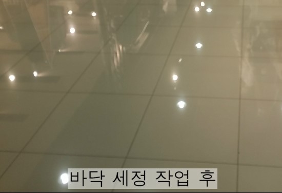 그린종합 이미지