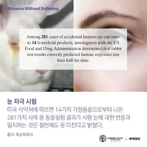 저를 죽이기 전에 눈을 한번 봐주세요(혐오주의) | 인스티즈