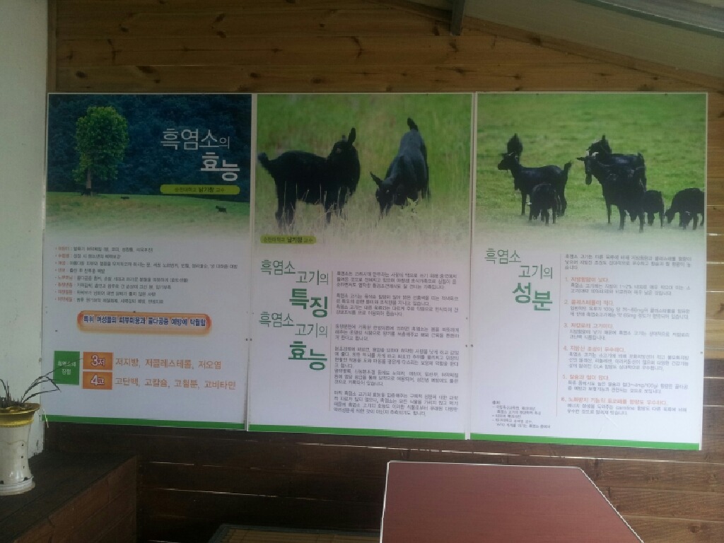 장성댐식당 이미지