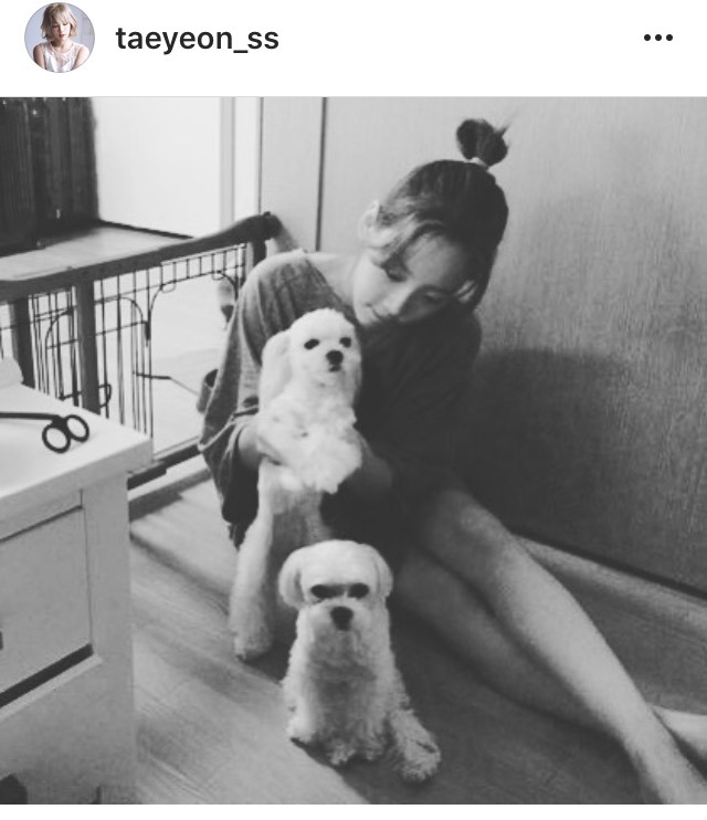 탱스타그램 | 인스티즈