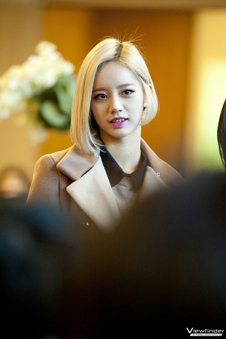 해라 이미지