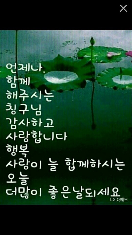 촌장 이미지
