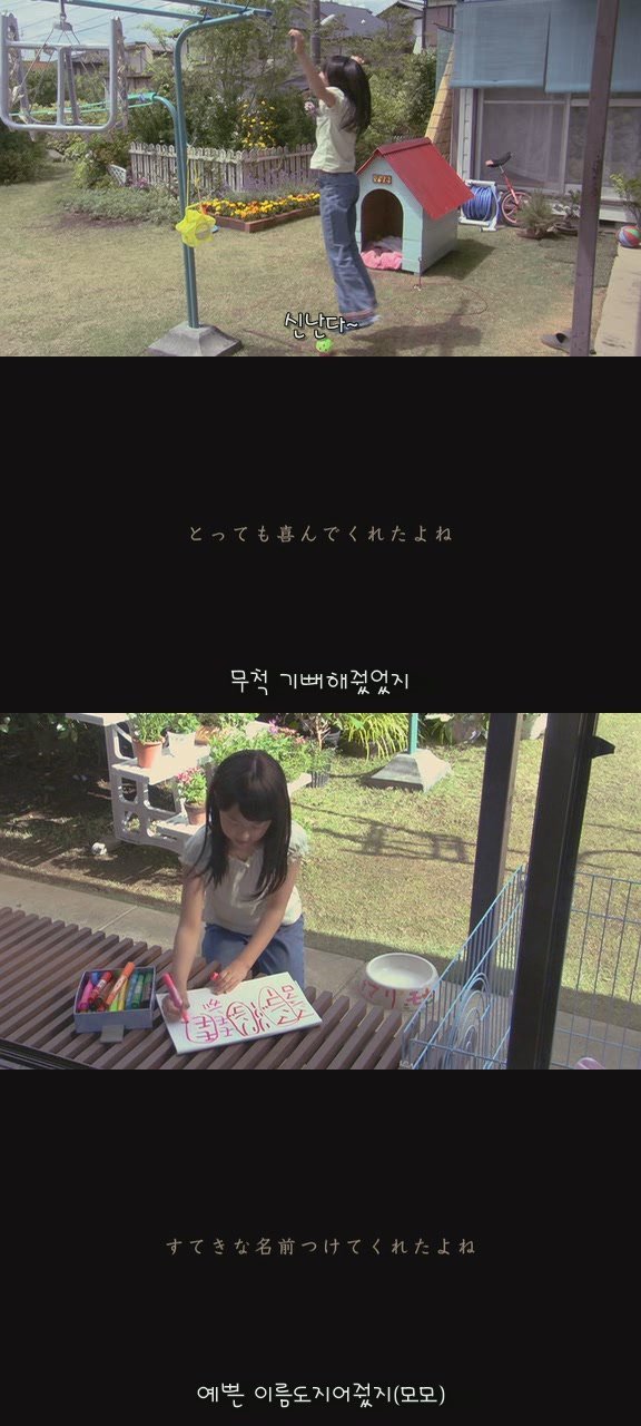 강아지의 삶 | 인스티즈