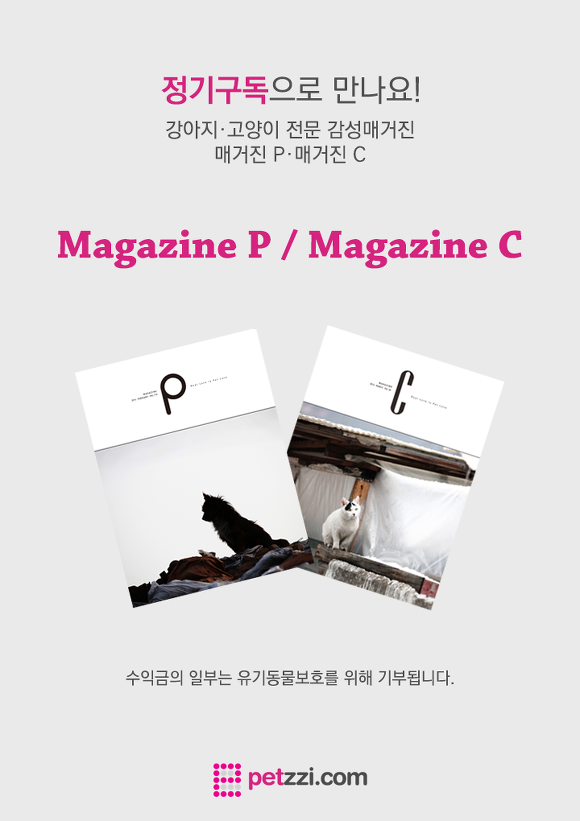 우리가 반려동물을 키우는 이유...?.jpg | 인스티즈