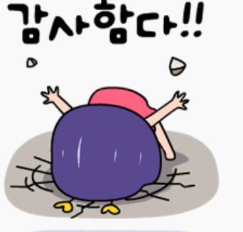 고마 이미지