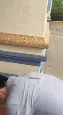 용인 에버랜드 입장방법 | 인스티즈