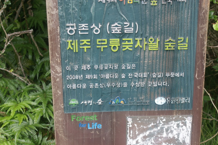 무릉도원올레 이미지