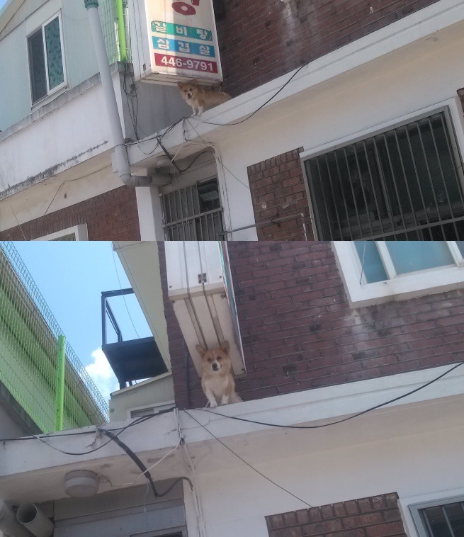  우리나라에서 일본식 가옥을 볼 수 있는 곳 | 인스티즈
