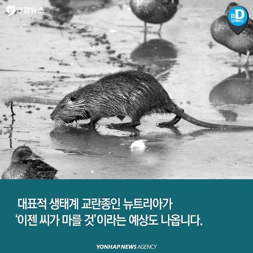 다시 관심받는 뉴트리아의 항변 .. | 인스티즈