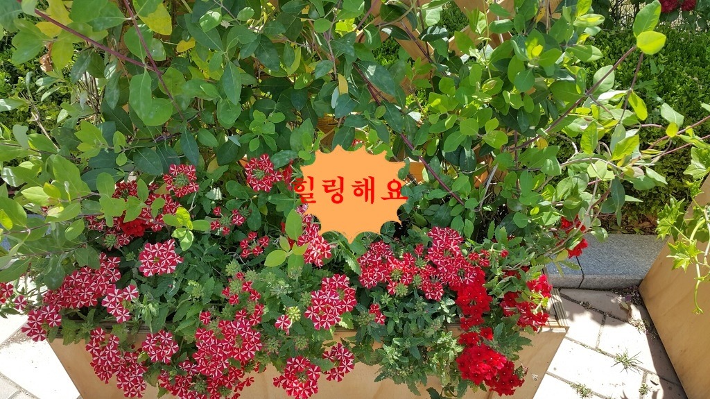 선스케이프 이미지
