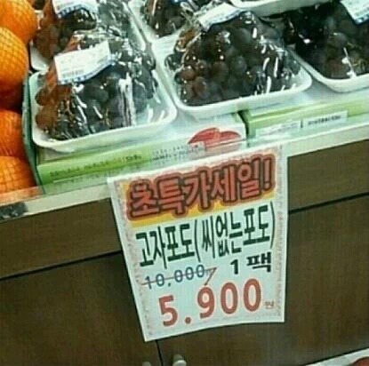 미방) 슬픈 운명의 포도를 직설적으로 말하면? | 인스티즈