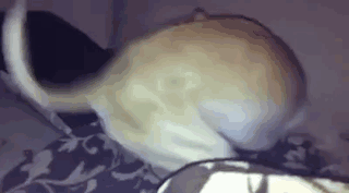 와씨..쩌는데? .gif | 인스티즈