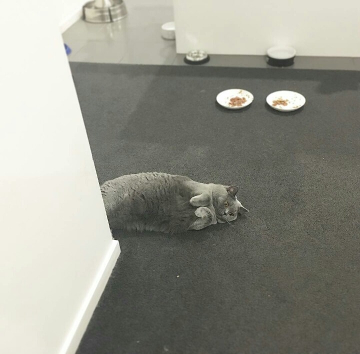 거대한 먼지덩어리들 | 인스티즈