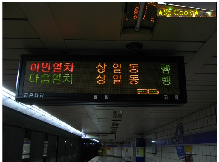 생생한 콘서트 당일 분위기 | 인스티즈