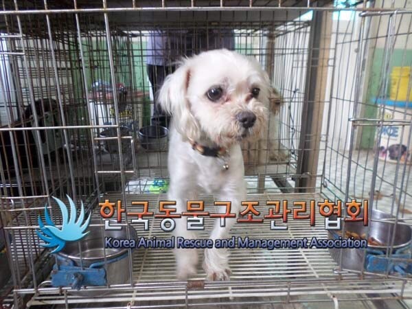 깨끗한아빠 이미지