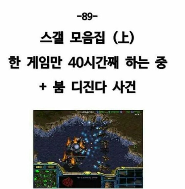 스타 40시간동안 한 이야기.. | 인스티즈