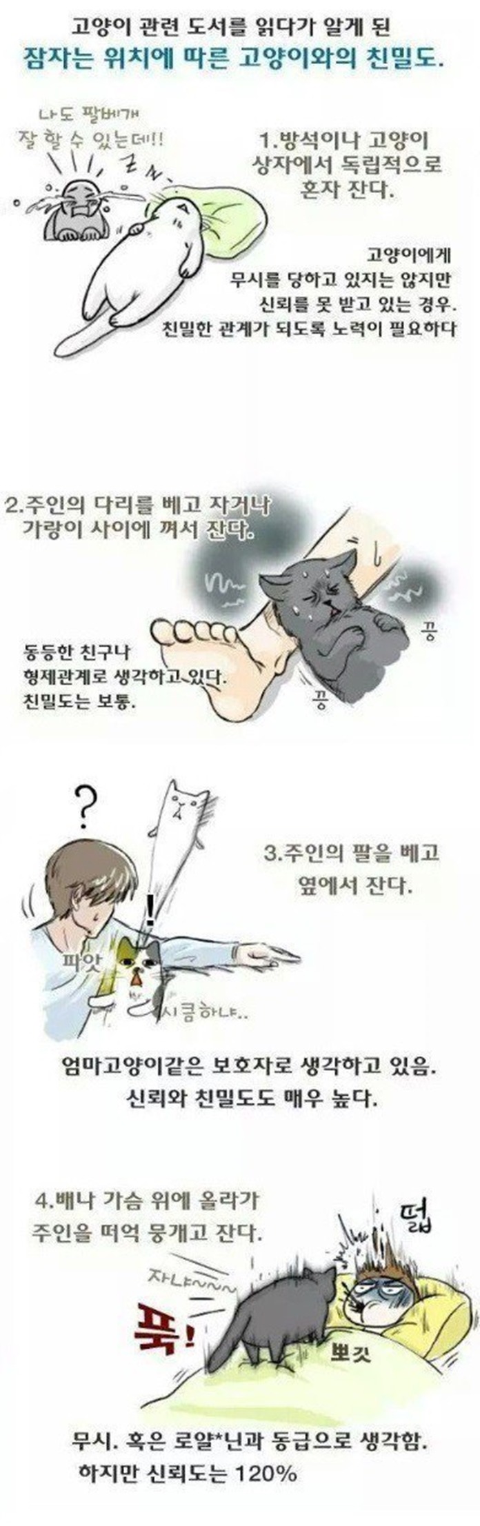 잠자는 위치에 따른 고양이 친밀도 | 인스티즈