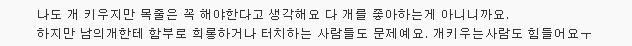 반려동물 때문에..쫓겨나고 전과자 되는 주인들 | 인스티즈