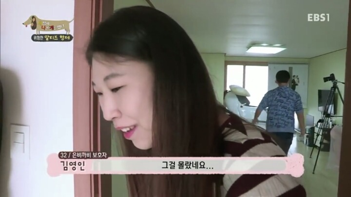 공격적인 반려견이 되는 이유 2부.jp | 인스티즈
